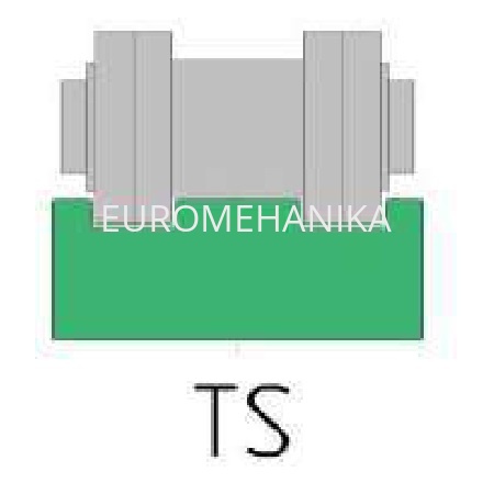 TS_Type